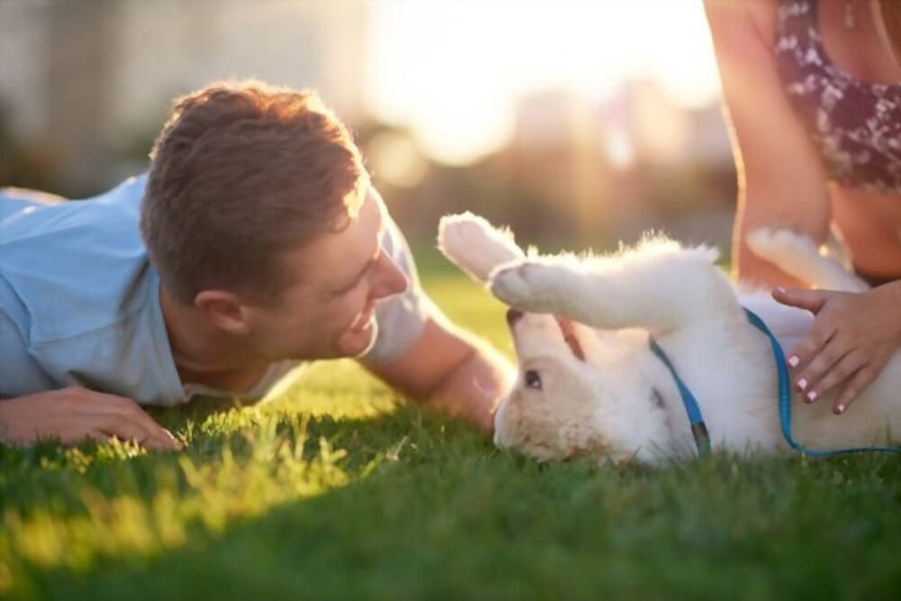 vacunación perros gatos